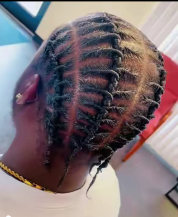 Flat Twist Barrow at DaniBraidsLLc in Columbus, OH