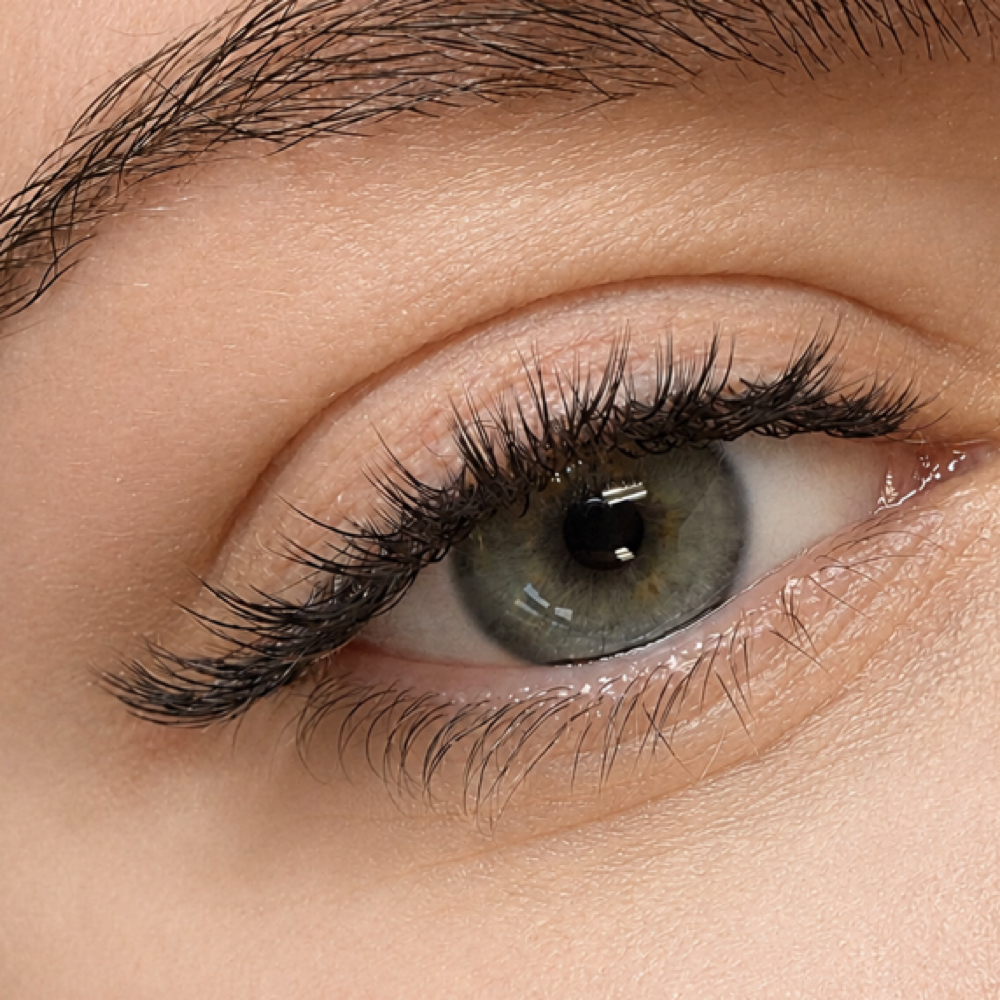 Classic Full Set at Gingie Lashes & Brows in Buffalo Grove, IL