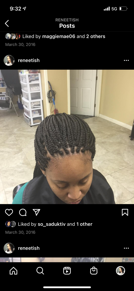 Regular Small Box Braids