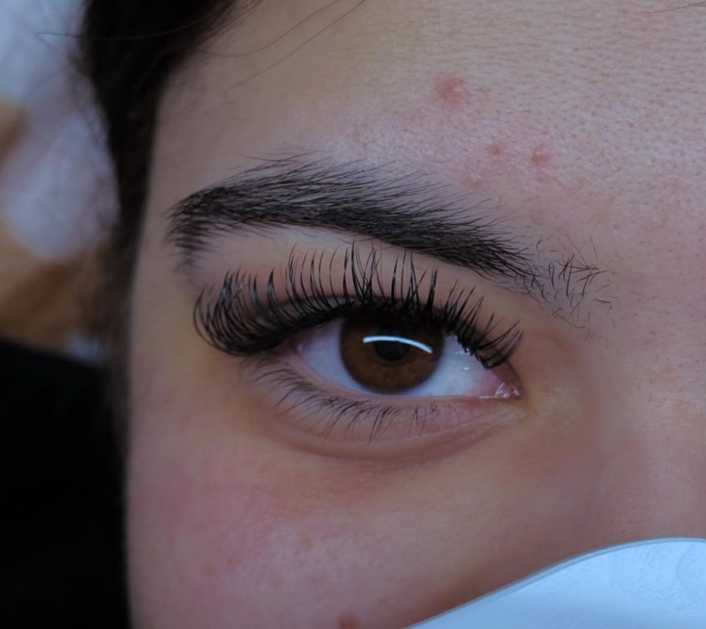 ✨Classic 2/3 Week Refill✨