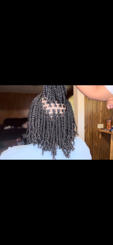 Mini Twist (braided Root)