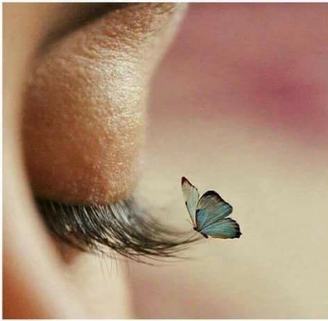 Lash Tint