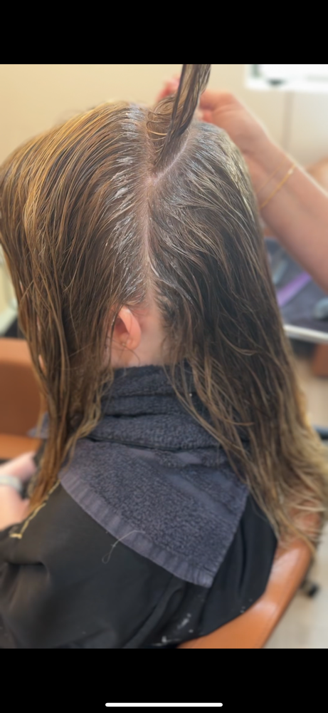Root Touch Up