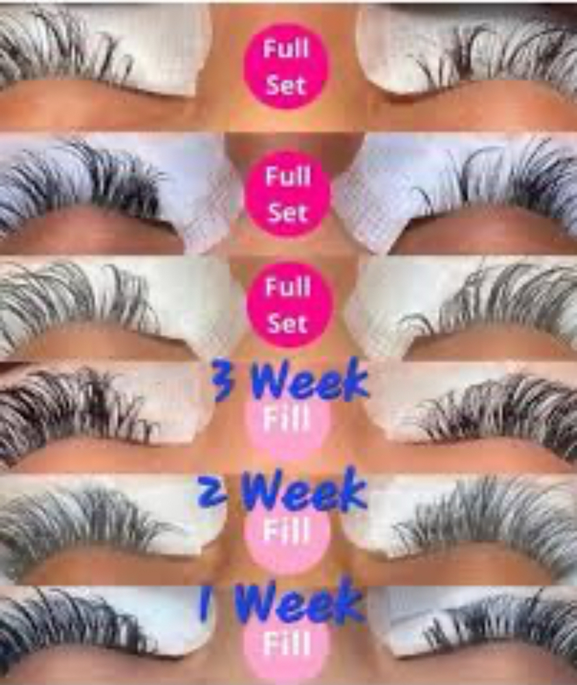 Lash Fill 2 Week