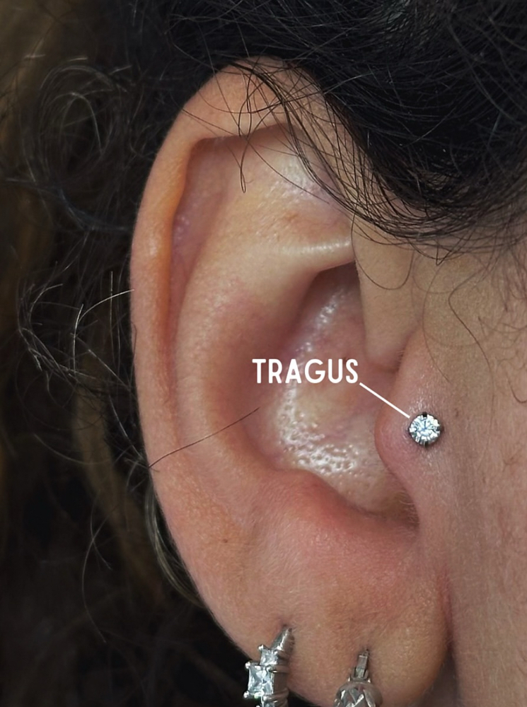 Tragus