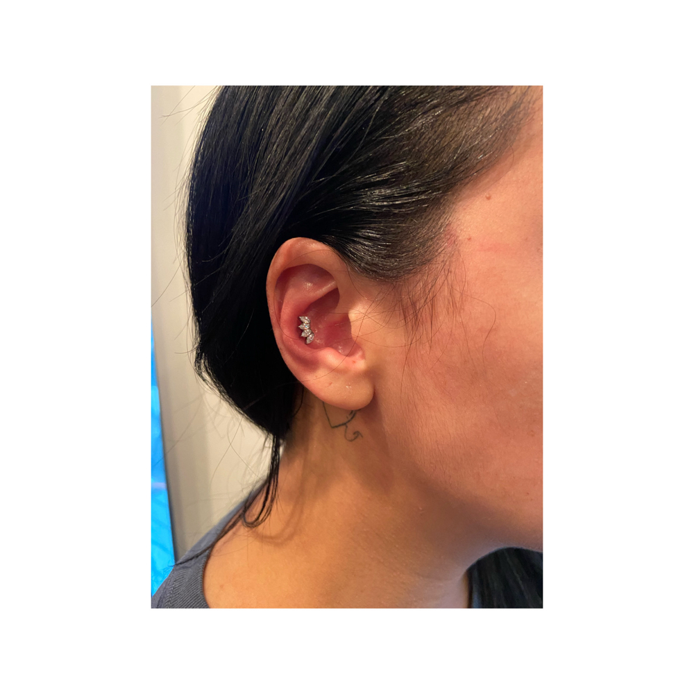 Conch Piercing