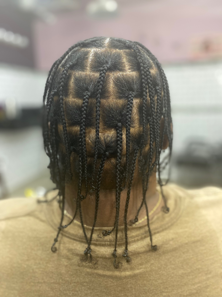 Plaits