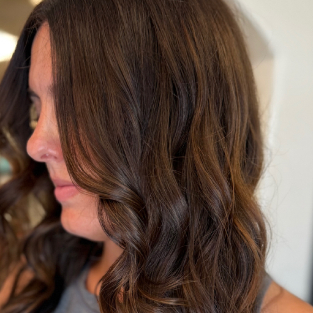 Toner/ Gloss with Blowout at Bloom Salon in Glendale, AZ