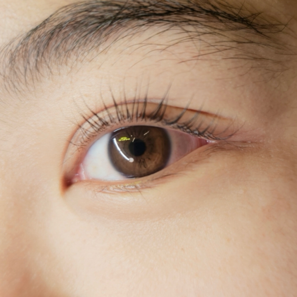 Korean Lash Lift at Glow N Go Beauty in Los Alamitos, CA