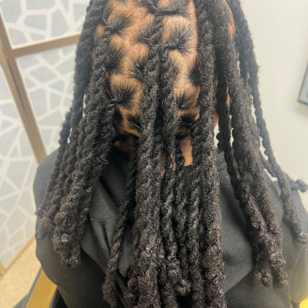 Retwists W Two Strand Twists Style