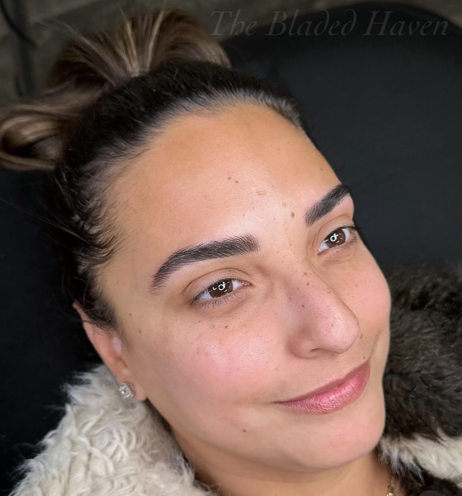 Hybrid/Microshading (Combo Brow)