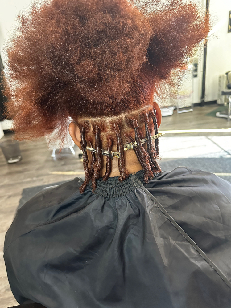 Starter Locs