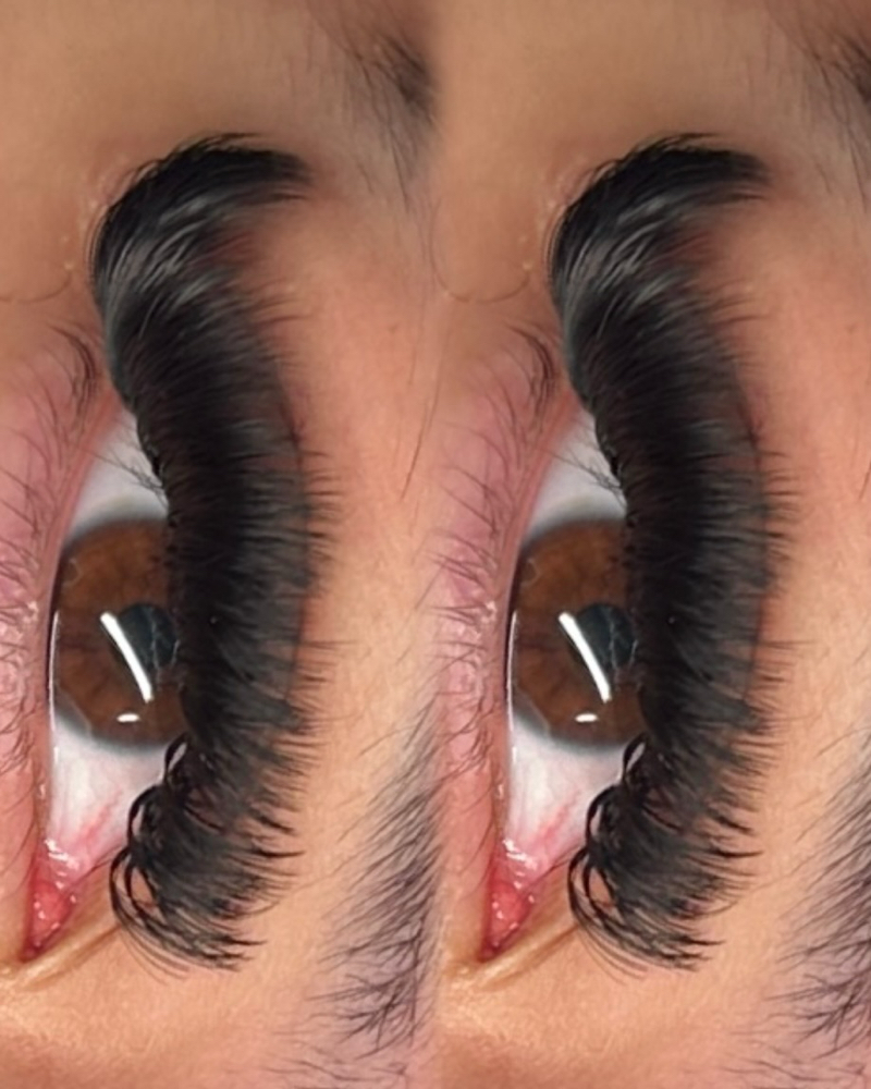 Volume Set Lashes