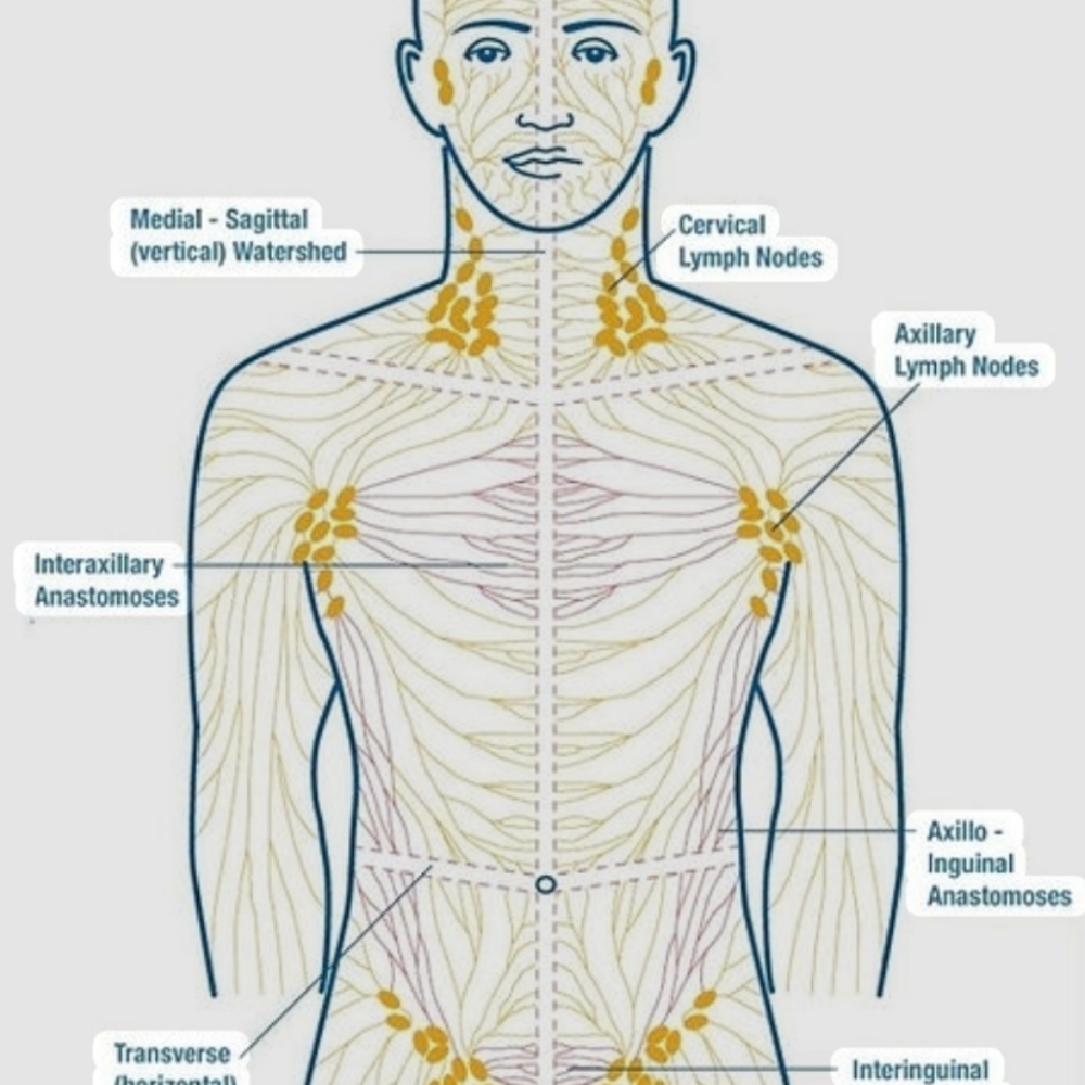 Lymphatic Massage at Prado Massage Therapy in Encino, CA