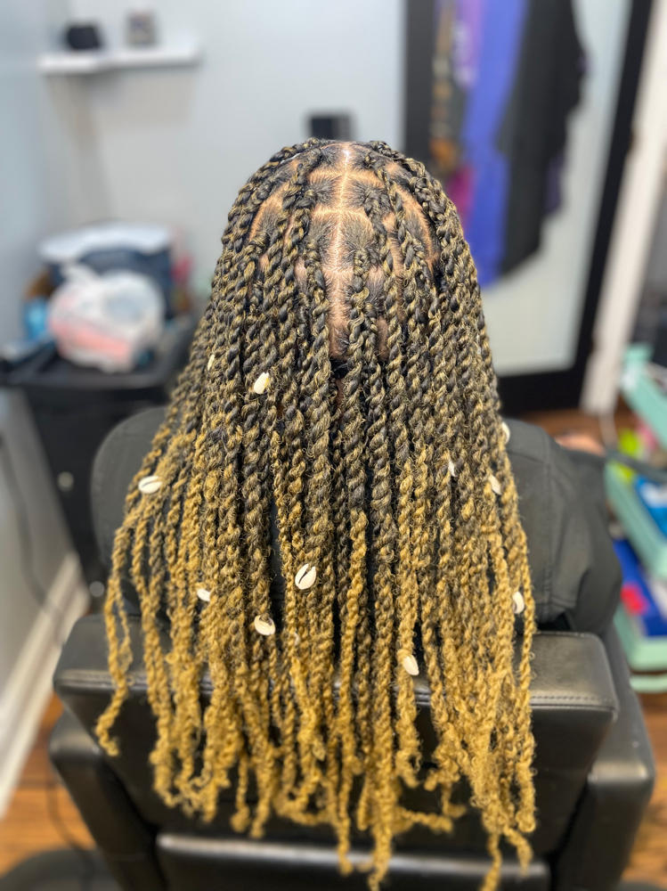 Two Strand Extension/Faux Locs