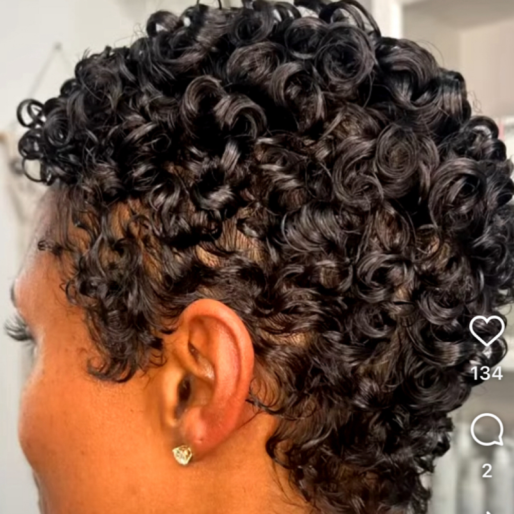 Shamp/Cond/Cut Natural Hair at Phyllis Patillo Montage Hair Studio in Eastpointe, MI