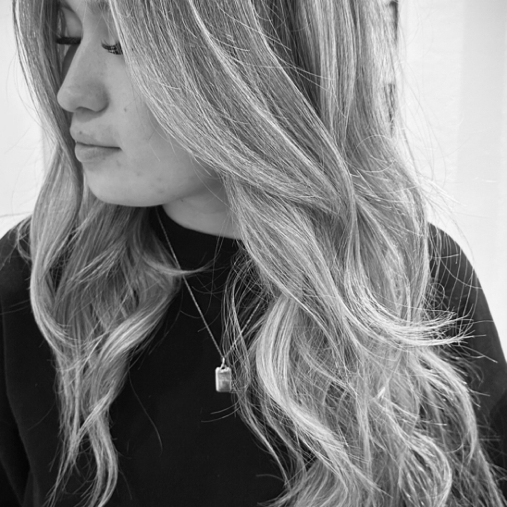 Full Blonding Session + Style at Hair By Rosa in Willow Park, TX