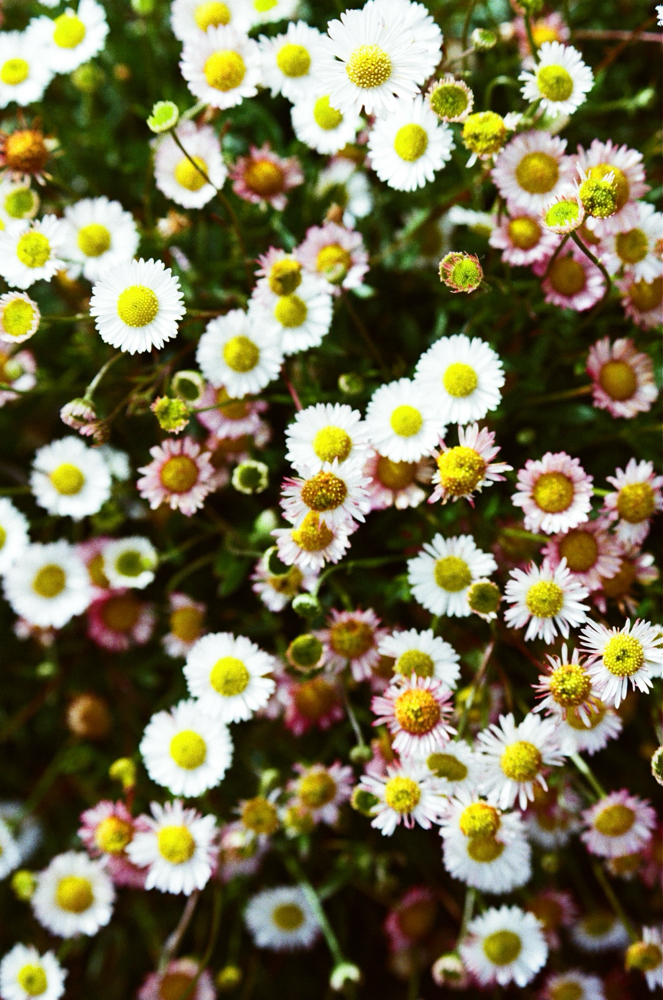 Custom Lightening Enhancement