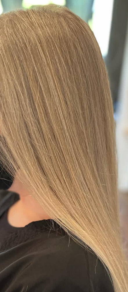 Full head highlight
