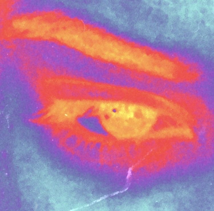 EYEBROW WAX