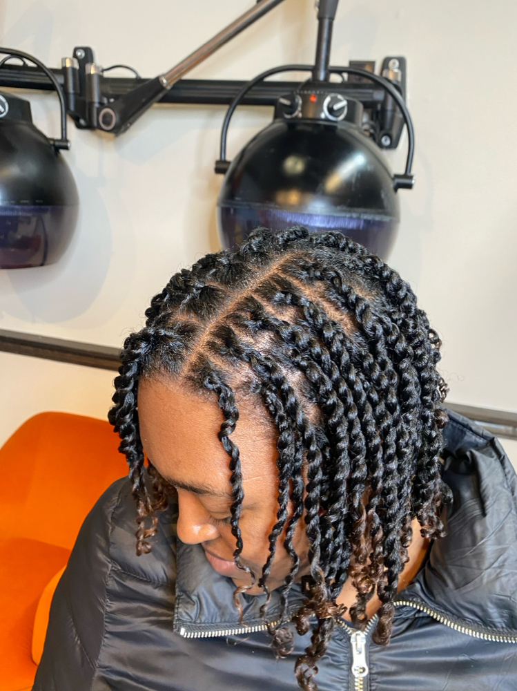Mini Twist Natural Hair