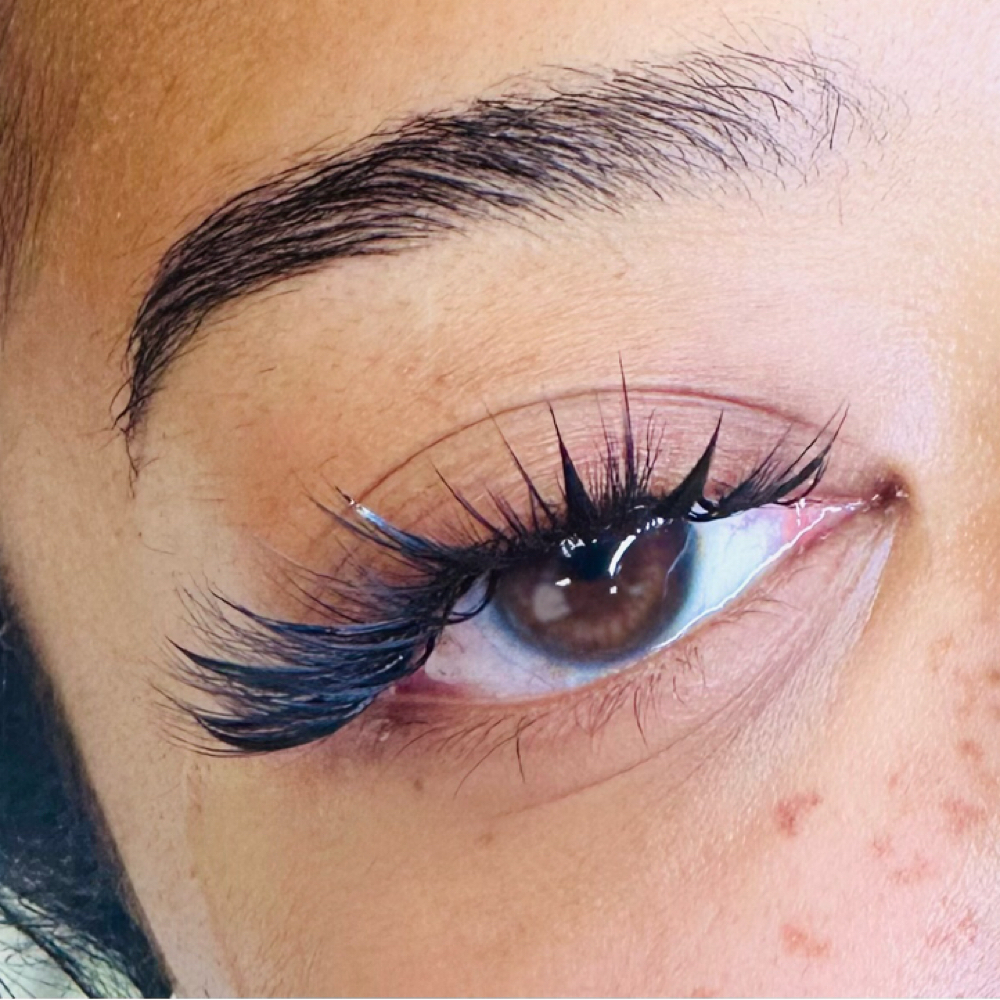 Refill Anime, Medusa 4 Weeks at LUMERA Lash & Beaute’ in Houston, TX