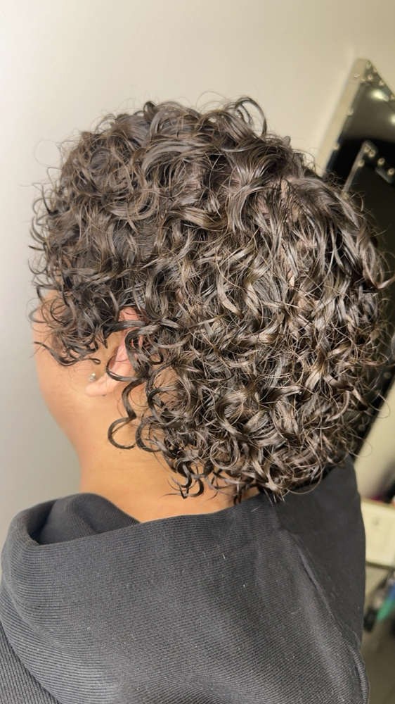 Curly Haircut Any Length