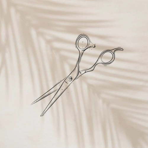 Womens Haircut