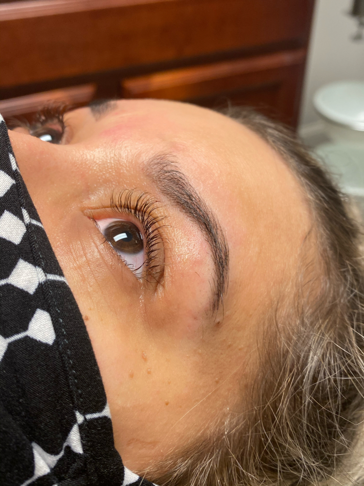 Brow Tint Only