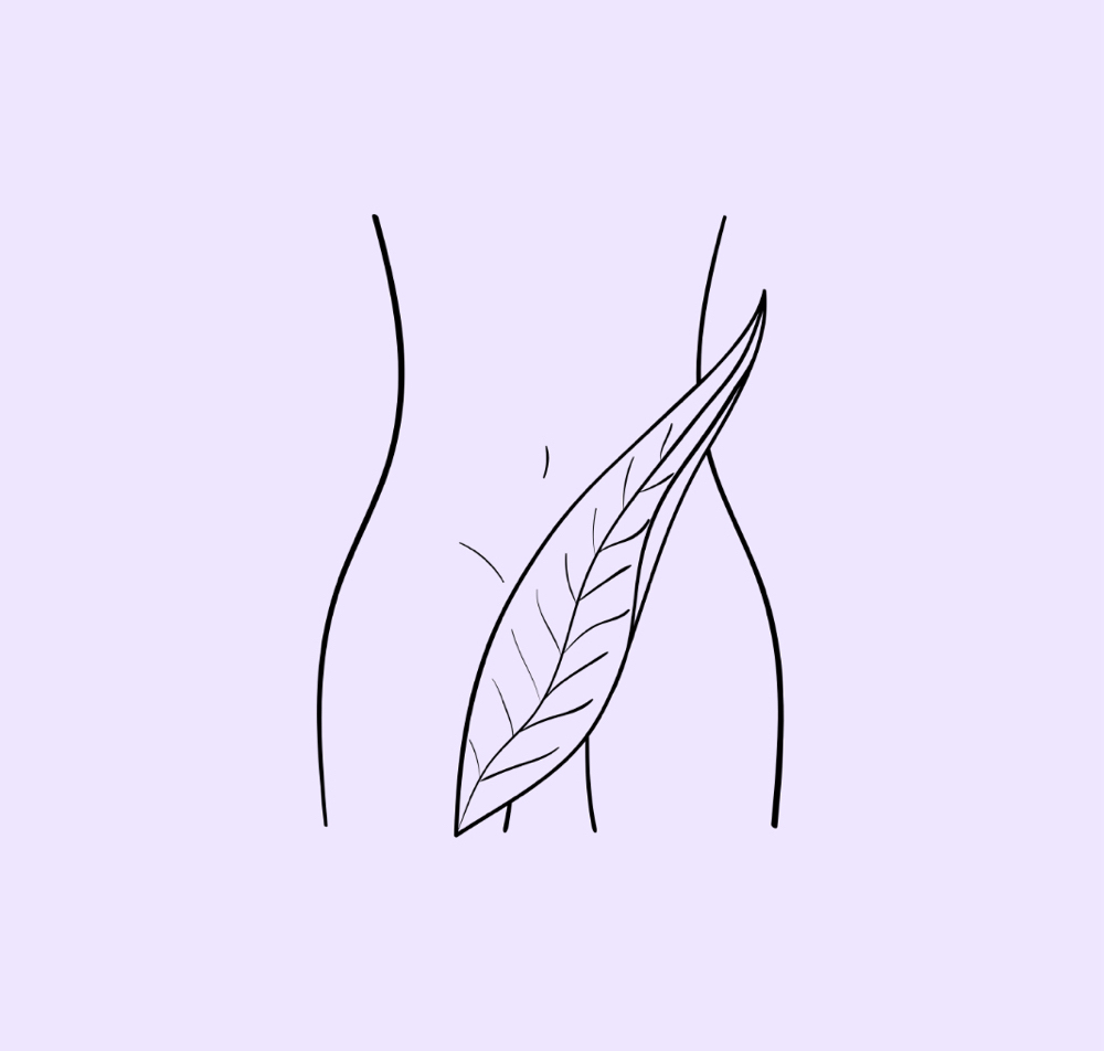Bikini Wax
