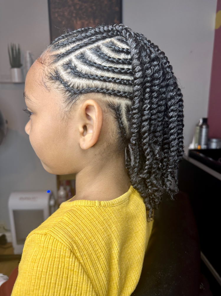 Braids, 2 Strand Twists Style