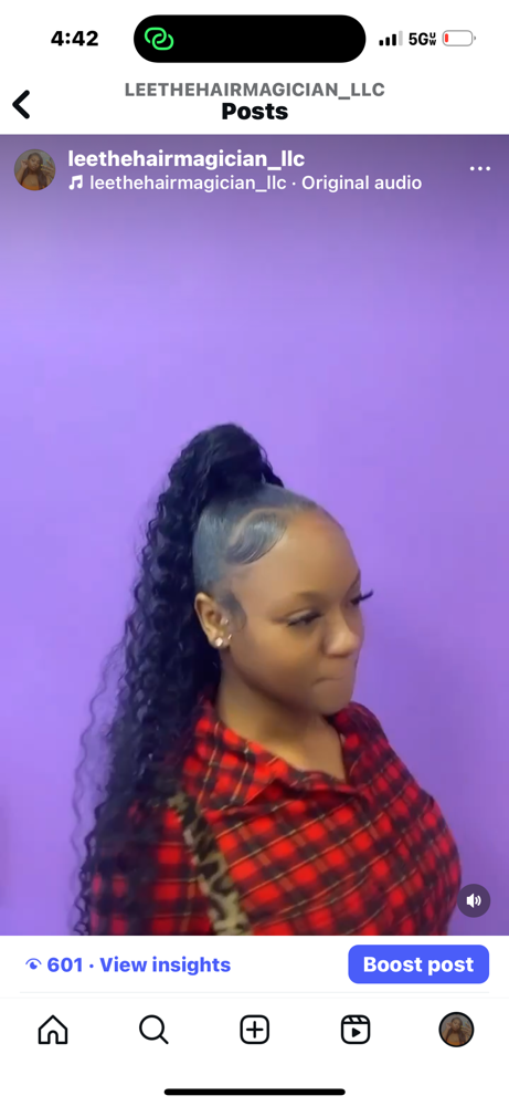 Ponytail at Lee The Hair Magician LLC in Detroit, MI