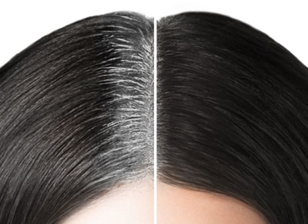 ROOT COLOR