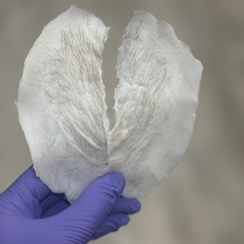 Bikini Wax at Bare Beauty Studio LLC in Okc, OK