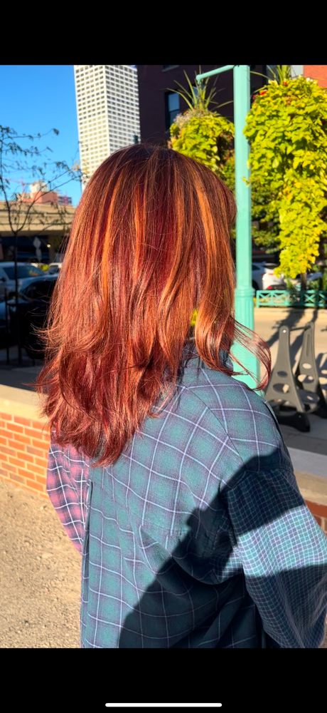 Scalp Treatment + Blowout at Looks By Liz in waukesha, WI