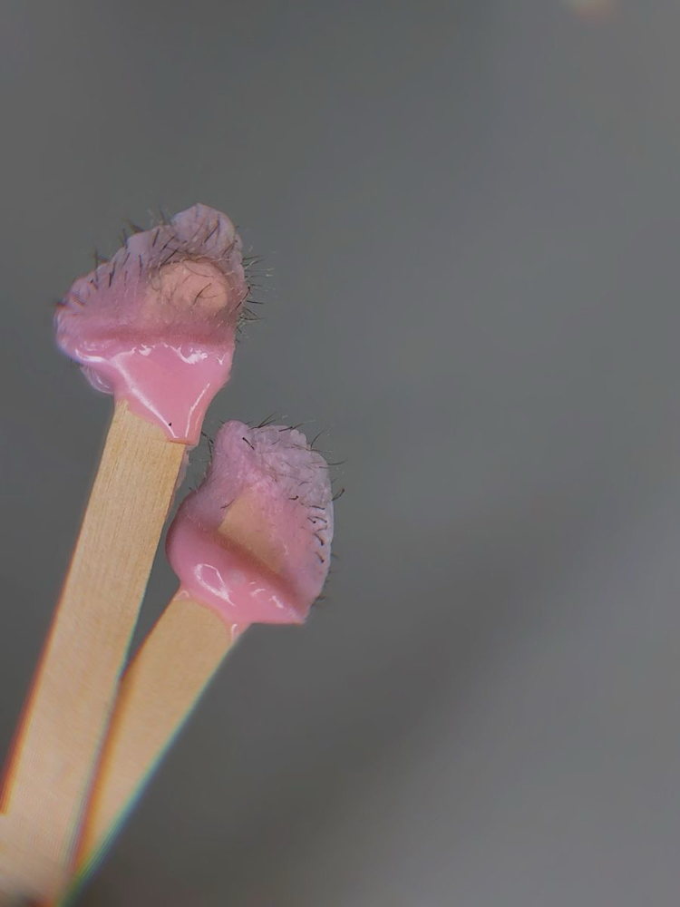 Nose Wax
