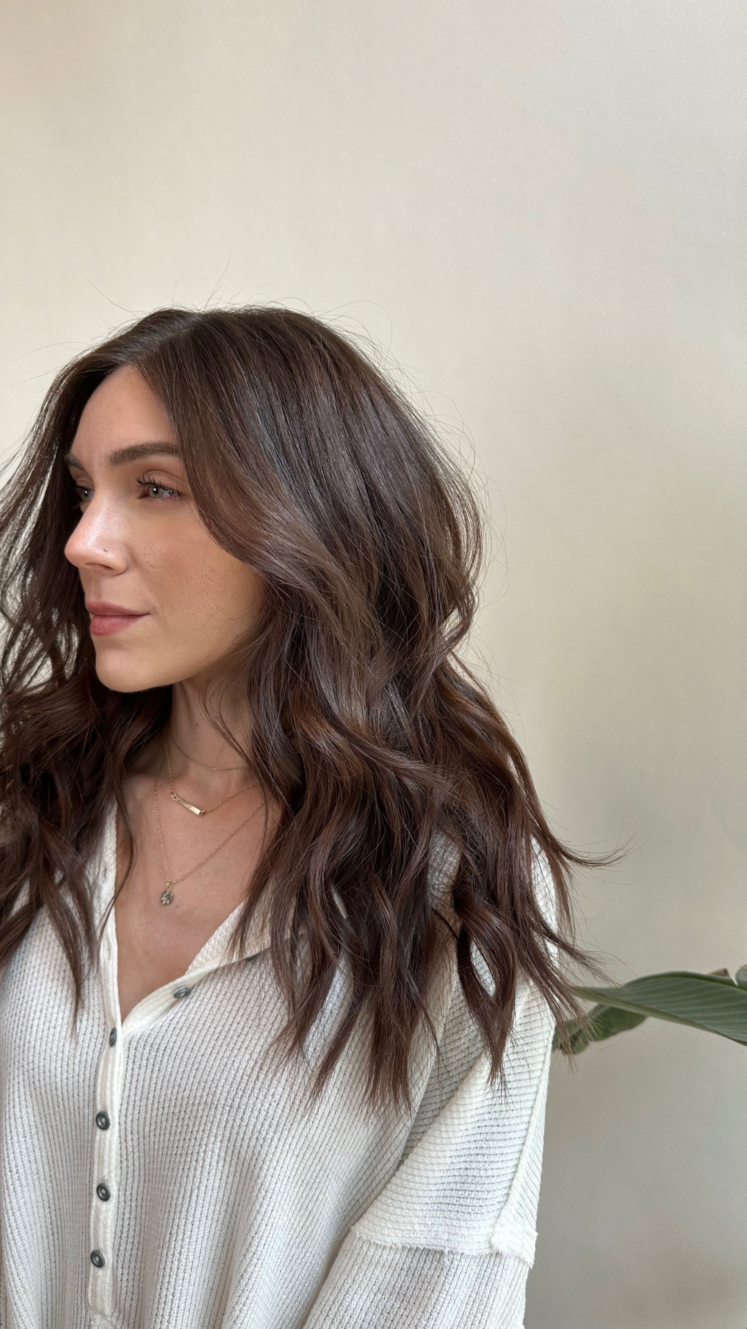 THE DIMENSIONAL BRUNETTE