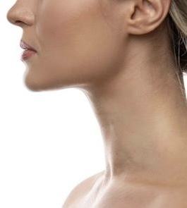 Neck