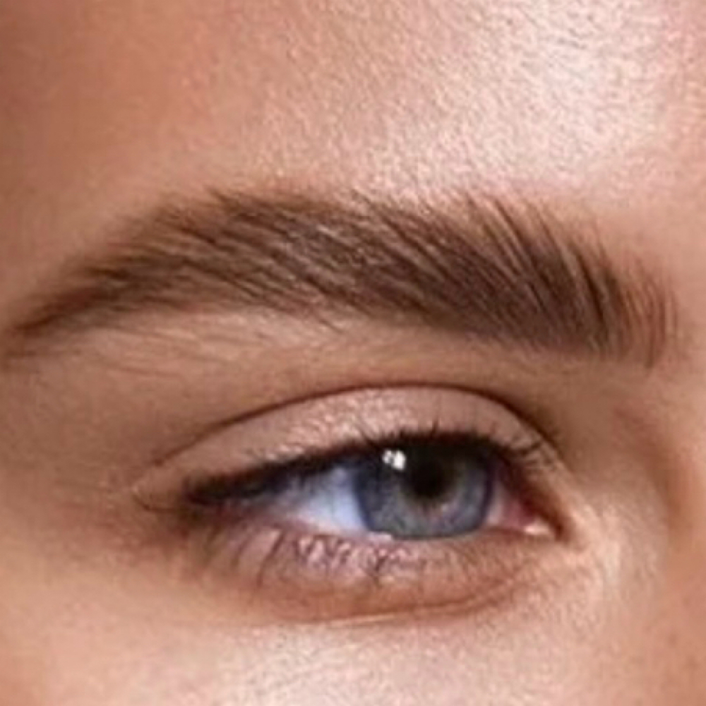 PMU Touch Up 24+ months at Susie Carranza Brows & Beauty in Sherman, TX