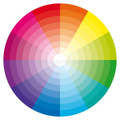 Fashion/Vivid Colors