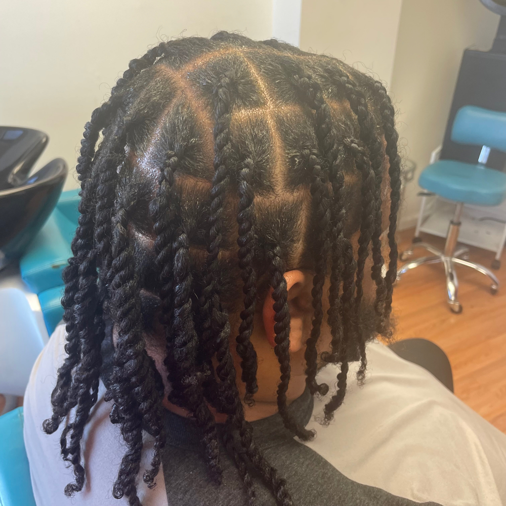 Two/Three Strand Twist