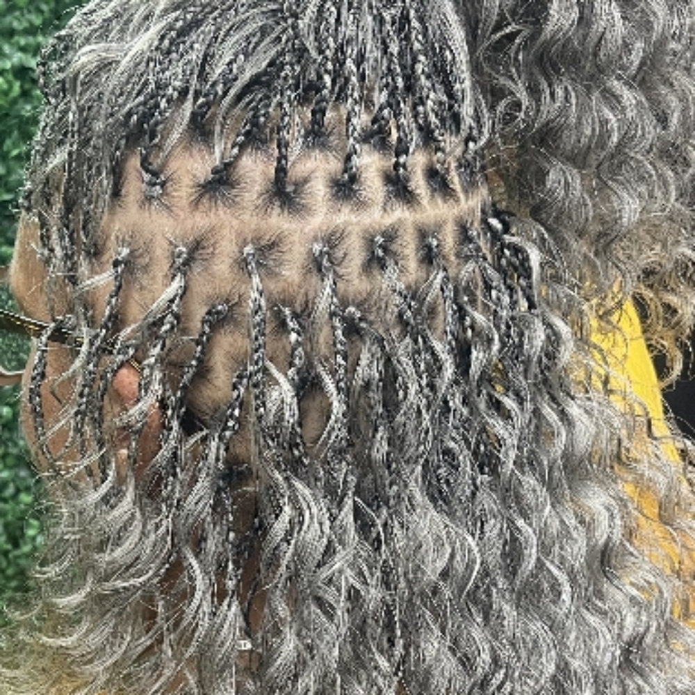 Tree Braids at Shear Genius Beauty Bar in Lafayette, LA