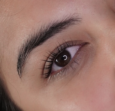 Lash Lift & Tint at Aesthetics by Mariah in Crest Hill, IL