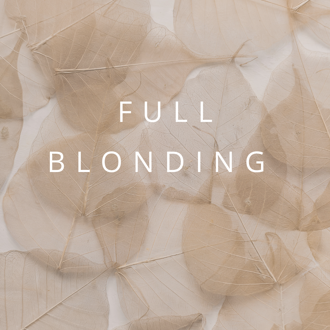 Full Blonding + Haircut