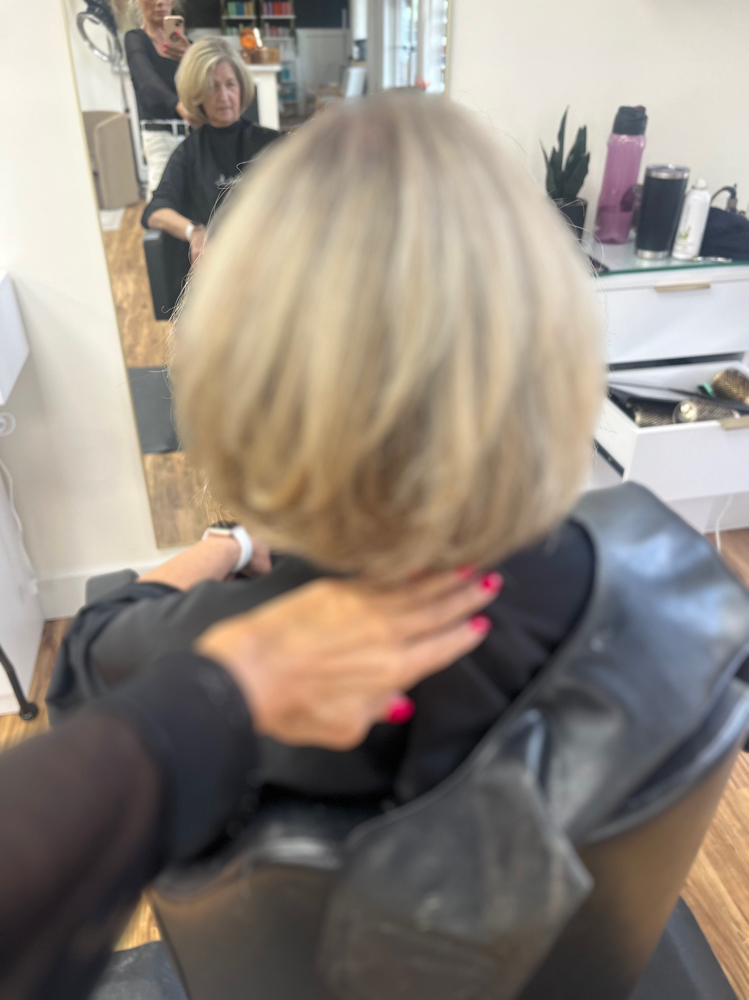 Partial Blonding & Blow Dry