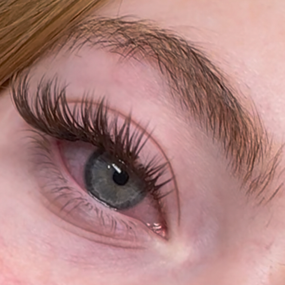 GROUPON Wet Set + Fill at Lashed Society in South Jordan, UT