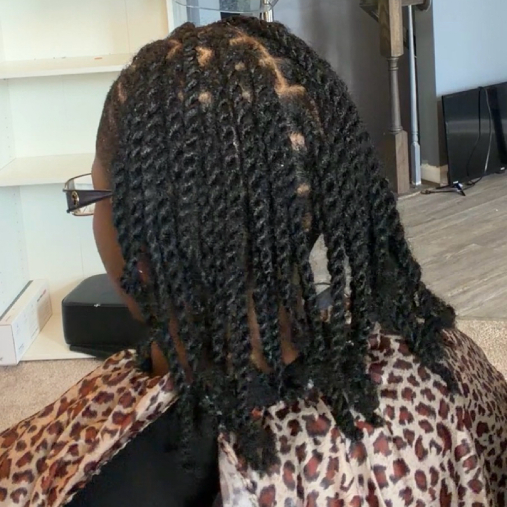 Two Strand Twist at The Hair Healer Studio in Highland Springs, VA