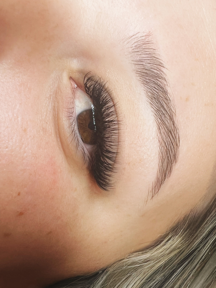 Brow Wax And Tint