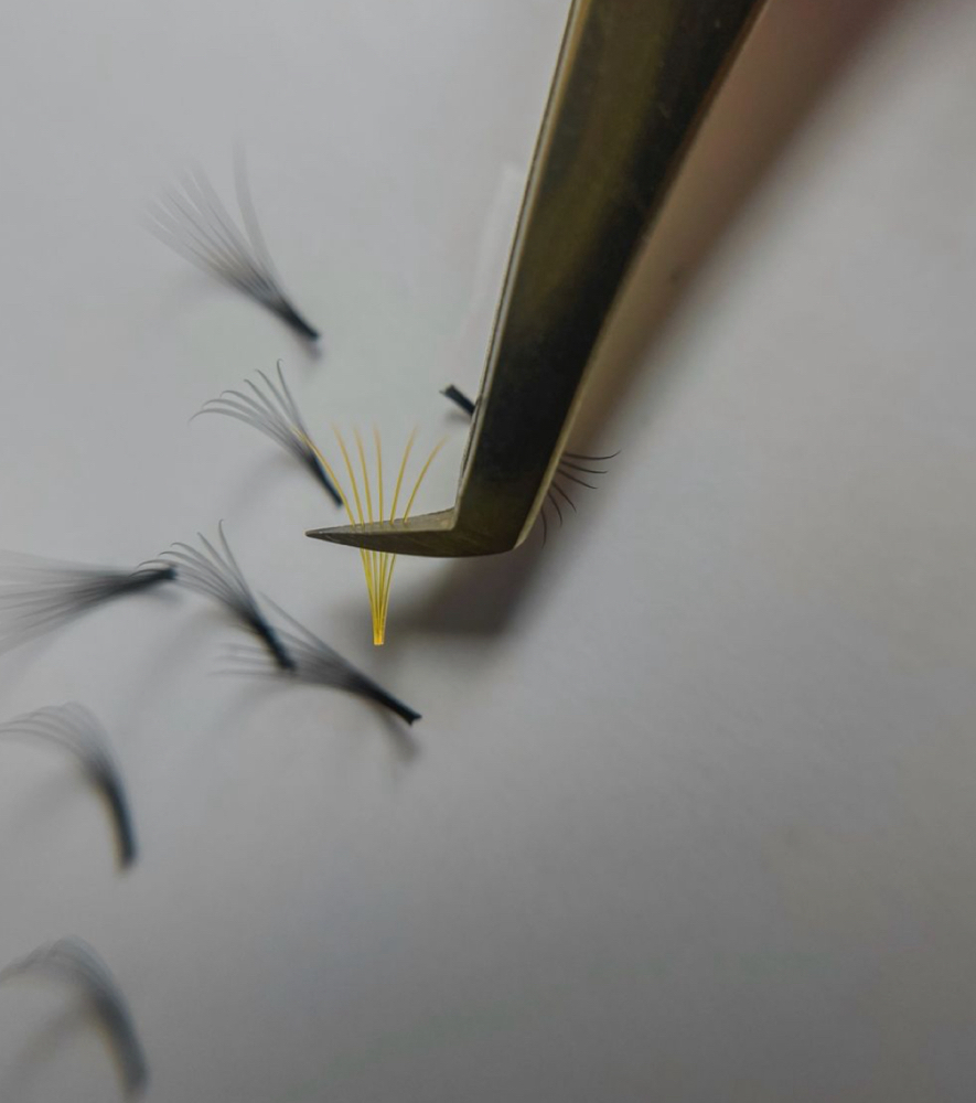 Color Lashes