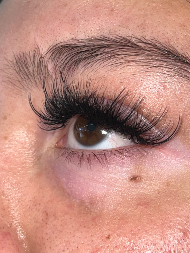 Wet Set Lashes